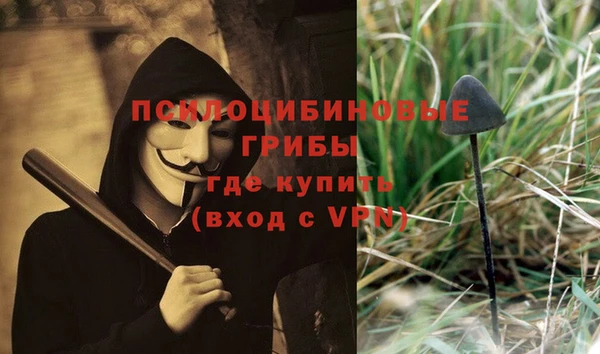 a pvp Алексин