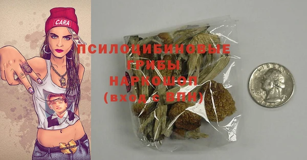 a pvp Алексин