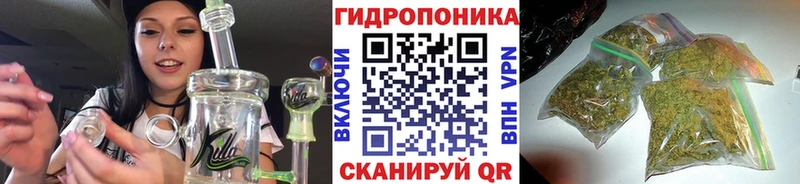 Канабис сатива  Лукоянов 